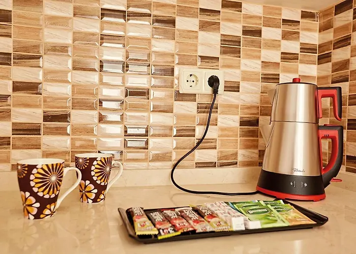 Bursa Suites Apart Otel 4* Bursa